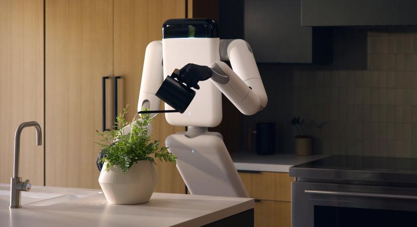 Nem törvényszerű, hogy a humanoid robotok tényleg emberszerűek legyenek