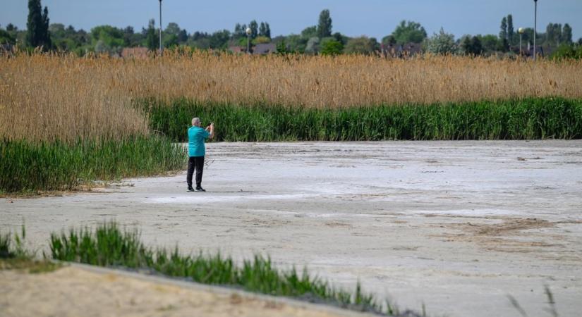 Körbeúszta a Velencei-tavat, elkeserítő tapasztalatokról számolt be a 61 éves extrém sportoló