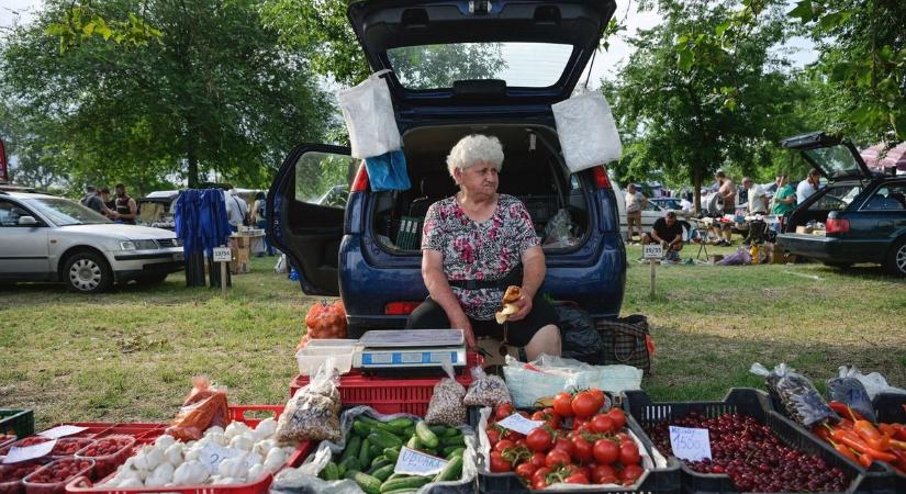 Vasárnap egyértelműen a mórahalmi vásár vitte a prímet, itt aztán tényleg mindent lehetett kapni