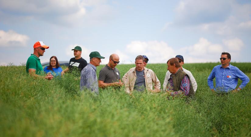 KWS – Élen jár repcében!