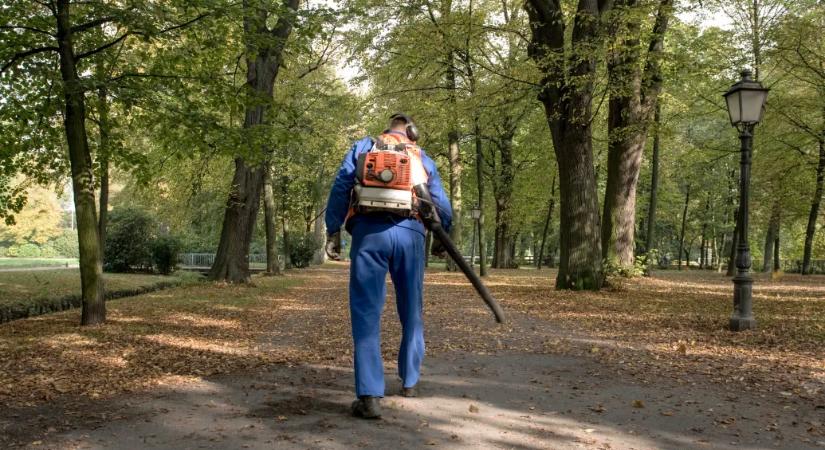 „A Dunába is dobhatnám” – egy vallomás szerint Pék, a politikus több százmilliót vett át Karácsony nevében, aztán nem intézett el semmit