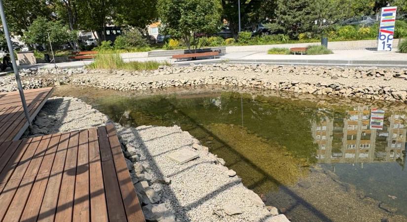 Hetekkel a választás előtt kötött még egy közel tízmilliárdos szerződést a parkfenntartási botrány egyik cége