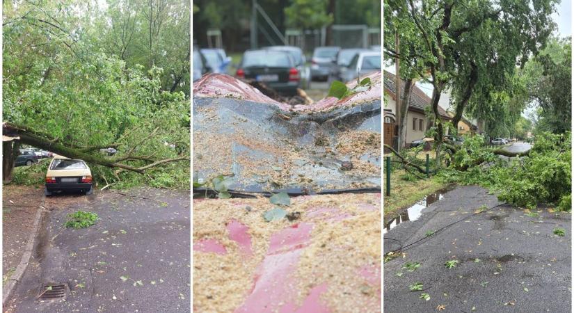 Tombolt a vihar Debrecenben, fákat csavart ki, durva károkat okozott