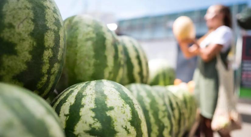 Fokozott ellenőrzések jönnek: a Nébih a nyári élelmiszereket vizsgálja