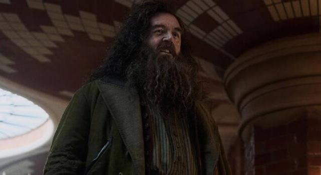 „Nem az én Hagridom" – Nick Frost tudja, hogy nem mindenki fogja őt díjazni az új Harry Potterben