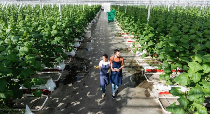 Már 50 országban várják a magyar agrártermékeket: új külpiaci kapuk nyíltak meg a gazdák előtt