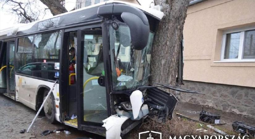 Busznak hajtott Szegeden a drogos sofőr, nyolc év börtönt is kaphat a halálos balesetért