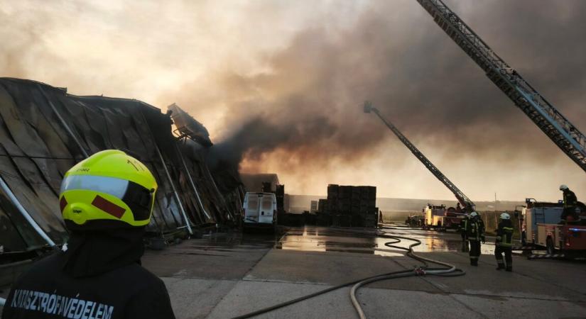 Megérkeztek a helyszíni felvételek – így küzdenek a tűzoltók a nagy tűzzel Zala vármegyében