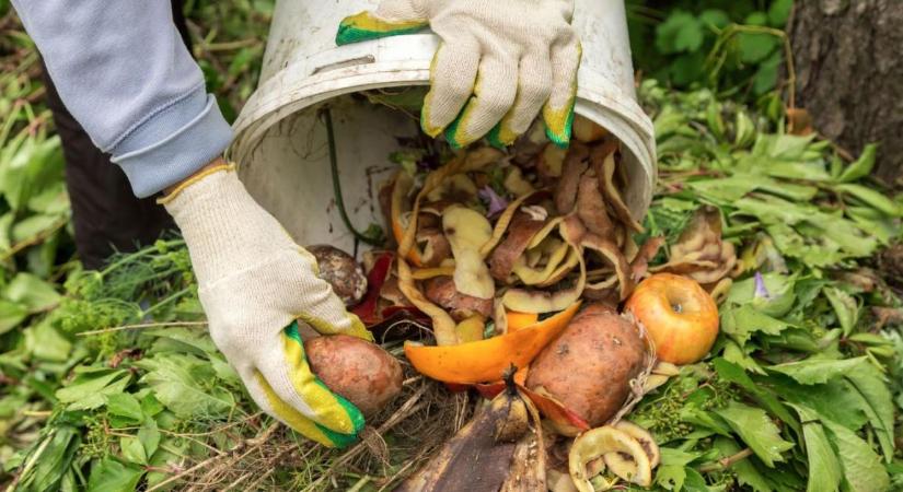 A nyári komposzt emiatt nem indul be rendesen - ezen múlik a gyors lebomlás