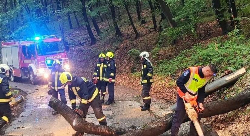 Lecsapott a pusztító vihar Borsodra: utat zárt el kidőlt fa, Miskolcon autót rongált az ítéletidő