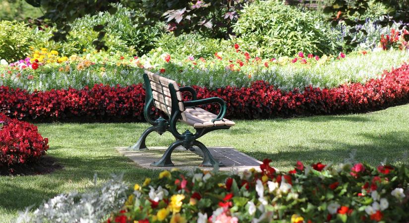 A park mindenkié – egyszerű illemszabályok a parkokba látogatóknak