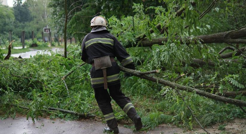 Viharkárok Bács-Kiskunban: több kidőlt fához riasztották a tűzoltókat