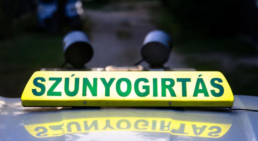 Katasztrófavédelem: hat vármegyében lesz szúnyogirtás ezen a héten