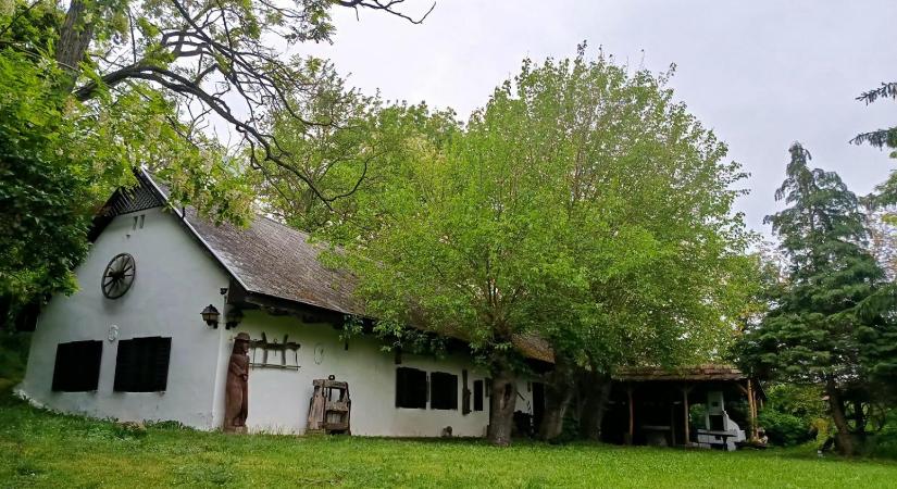 Gyurcsány Ferenc: Ecsegre költözöm? Elmondom