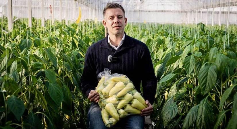 Áfacsökkentés Magyarországon? Egyelőre semmi nem látszik a Tisza Párt ígéretéből