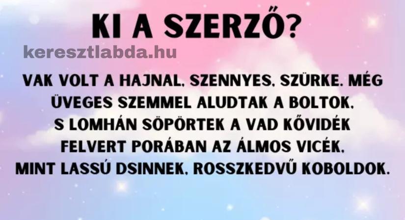 Irodalom feladat: a “Vak volt a hajnal…” sorokat mindenki tanulta, te emlékszel, ki írta?