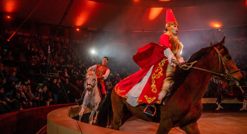 Betilthatják egyes vadállatok cirkuszi szerepeltetését