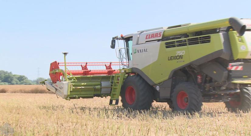 Javában zajlik az aratás Győr-Moson-Sopron vármegyében