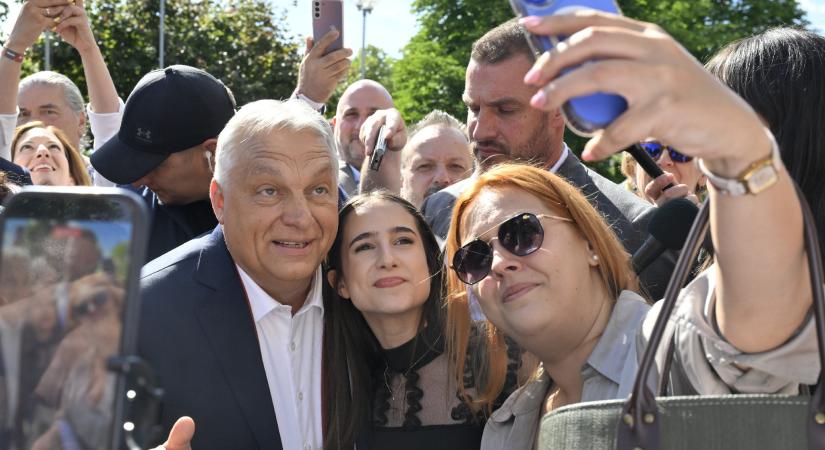 Bántalmazom, tehát vagyok
