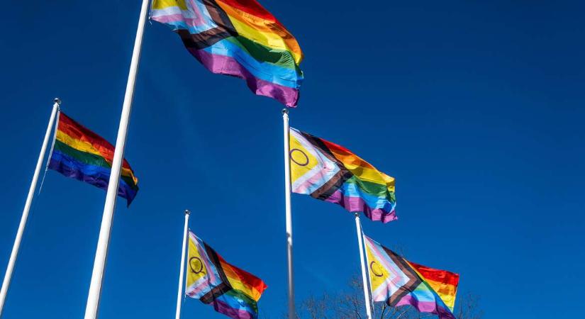 Egy napig bírták a Pride-zászlók az Erzsébet hídon