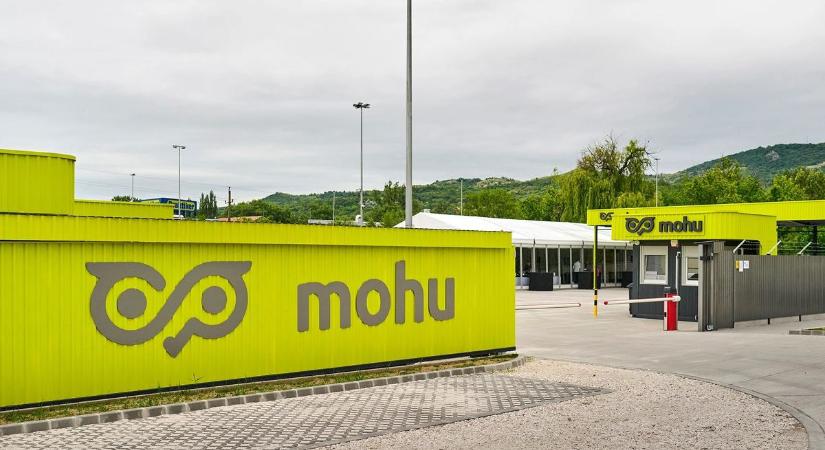 Megelégelte a Mohu, hogy az orránál fogva vezetik
