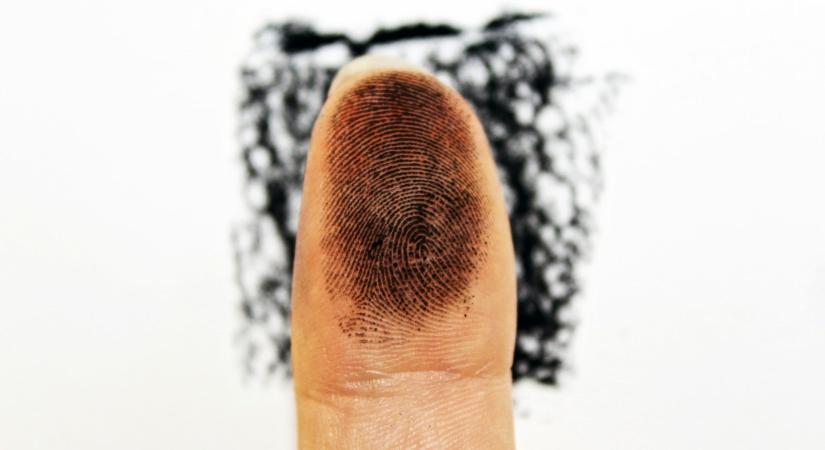 Miért pont az ujjaid végén van ujjlenyomat? Az evolúciós titok
