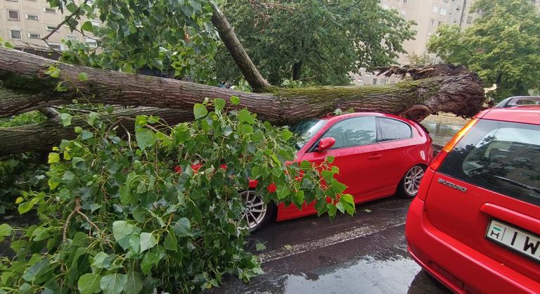 Videón a vasárnapi pusztító vihar, néhol a tetőt is levitte a szél