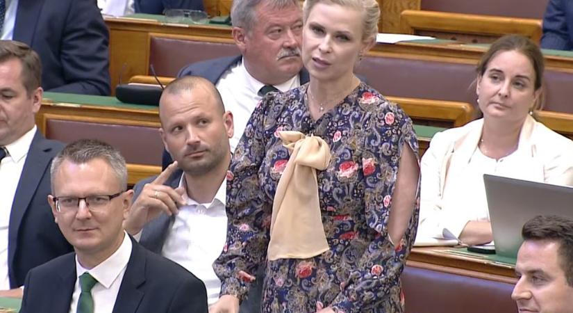 Juhász Hajnalka: A KDNP az egyetlen történelmi párt itt, több tiszteletet!