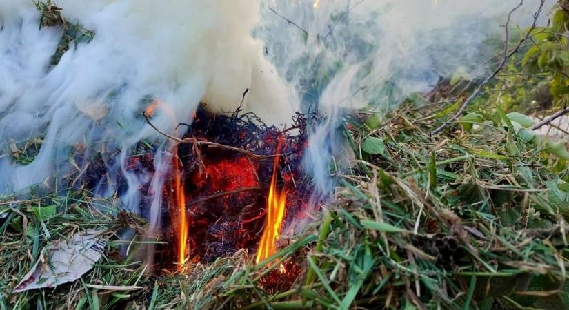 Pillanatok alatt elterjedhet a tűz az erdőkben, ezért intézkedett a hatóság a Jászkunságban is
