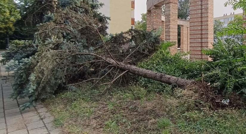 Döbbenetes károkat hagyott maga után Szabolcsban a szupercella: pillanatok alatt csapott le a pusztító vihar
