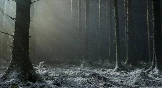 Teliholdkor számíts Robert Eggers vérfarkasos filmjének első előzetesére