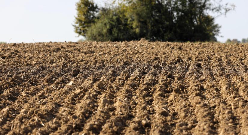 Fékezőben a termőföldpiac – Csökkenő kereslet és kínálat, lassuló áremelkedés