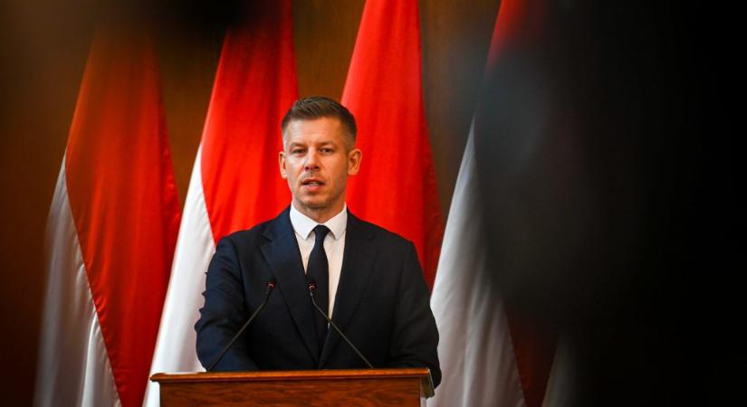 Magyar Péter: akár magáncégekhez is állami felügyelőt küldhetnek