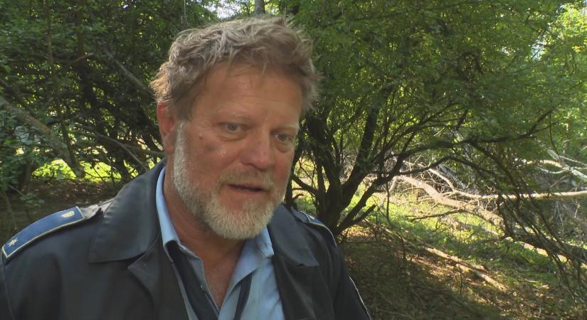Kaszkadőr helyettesítette Szabó Győzőt: hatalmasat esett Stoki A mi kis falunk jelenetében