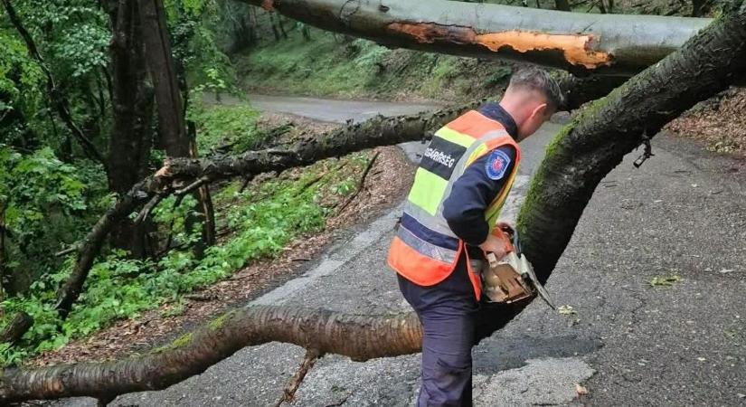B-betűs bámulnivalók: bírság, báj, bezárás és Borsod