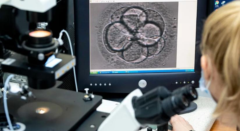 Az államosított lombikbébiszektornak is hirdetéseket gyártottak Balásy Gyula cégei