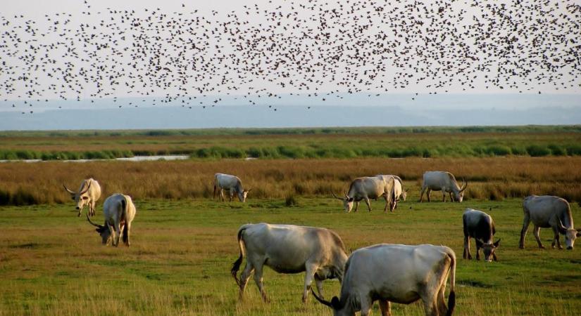 3 napos előrejelzés: Fokozódik a hőség