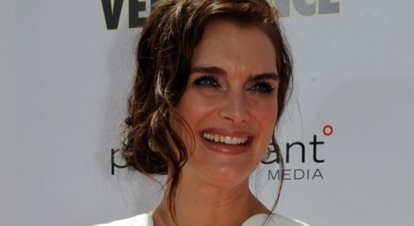 Világos konyhát szeretnél, de a fehér túl kényes? Brooke Shields talált egy lágyabb megoldást