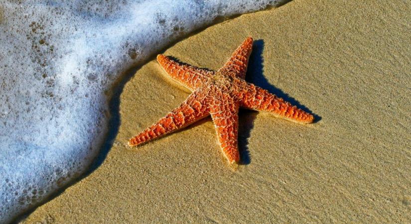 Mit árul el rólad, hogy a strandon az árnyékot vagy a napot keresed?