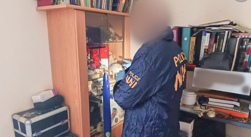Koponyákat, csontokat, preparált emberi arcbőrt is lefoglaltak egy beteghordozónál