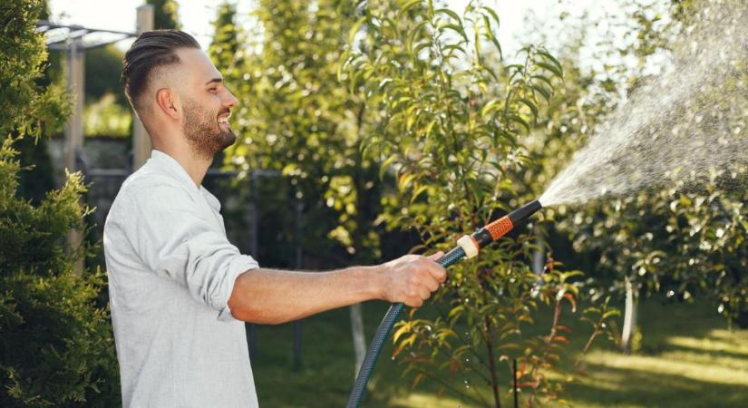 Ezért locsolnak hajnalban a rutinos kertészek a nyári hőségben