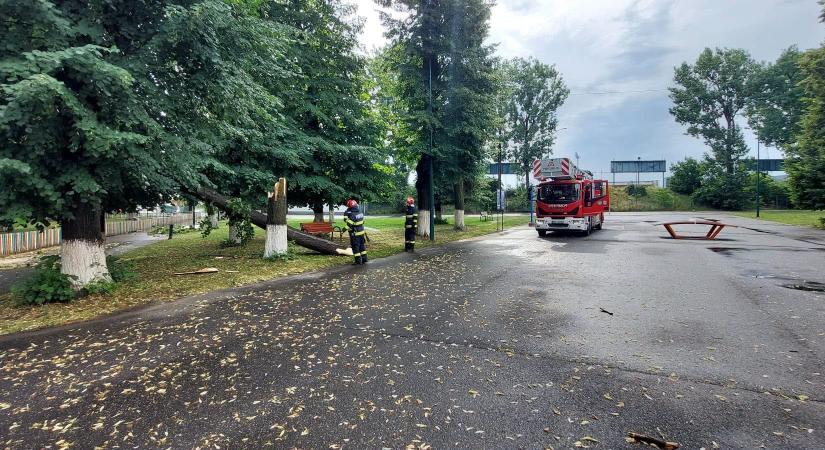 Nyolc megyében tarolt a vihar – Háztartásokat öntött el a víz, fák dőltek ki és autók rongálódtak