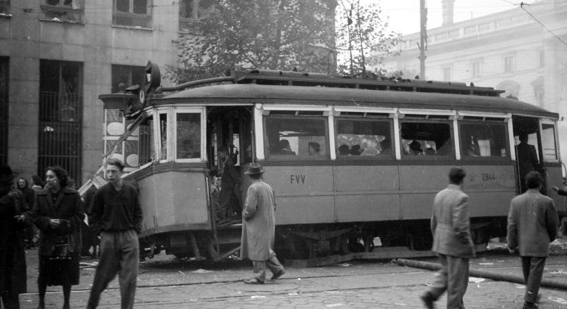 Megváltoztatta Európát az 1956-os forradalom és lengyel társa