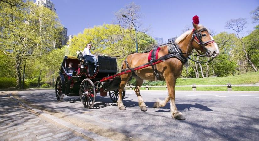 A 160 év alatt soha nem volt példa erre New Yorkban – most ez is bekövetkezhet
