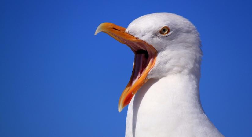 Tíz dolog ami előtt tízig számolj mielőtt kimondod a kamasznak