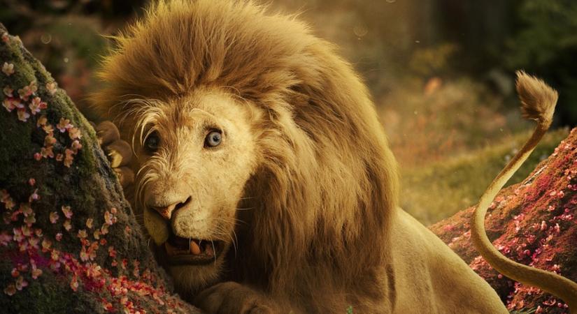 Mindenki ezt nézi? Erre a nagyszabású fantasyre kattantak rá a magyar nézők a hétvégén, ez most a No. 1 a streamingóriás platformján