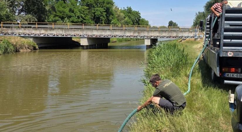 Itt csúszdáztak az előnevelt pontyok a Balaton befolyóiba