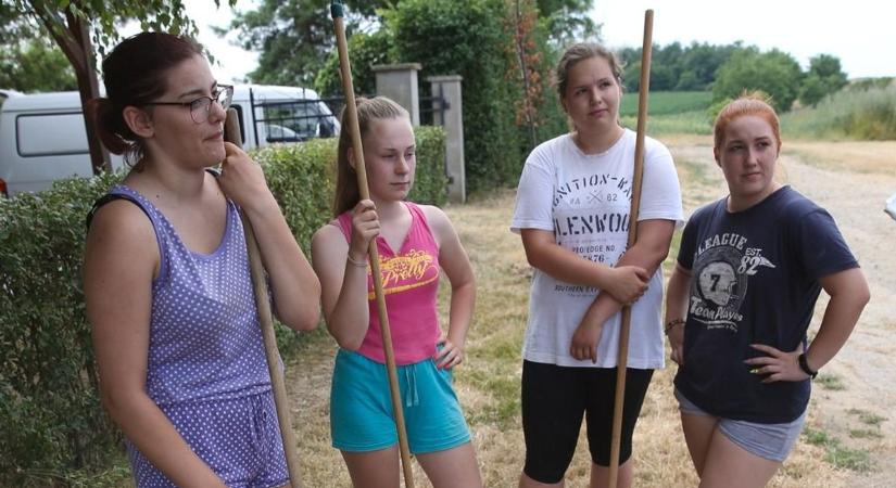 Nyári diákmunkások lepik el Diósberényt