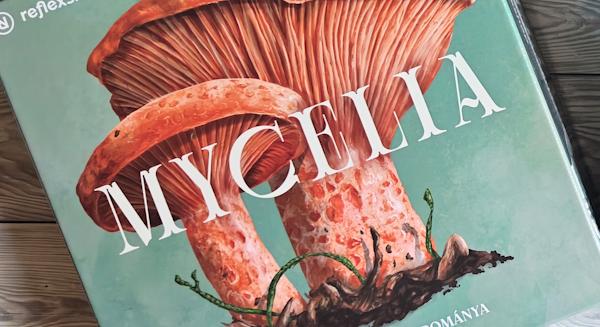 Mycelia társasjáték bemutató