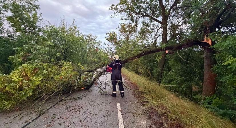 Óvodát öntött el a víz, üzletek áztak be Szolnokon: itt a hétfő esti pusztító vihar kárlistája – videóval, képgalériával